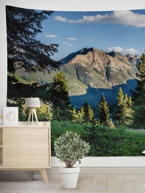 GIANT Mountain Scene Tapestry, Large Nature Lover, Colorado Scene